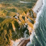 Rolety plisowane, plisy i moskitiery – nowoczesna ochrona Twoich okien